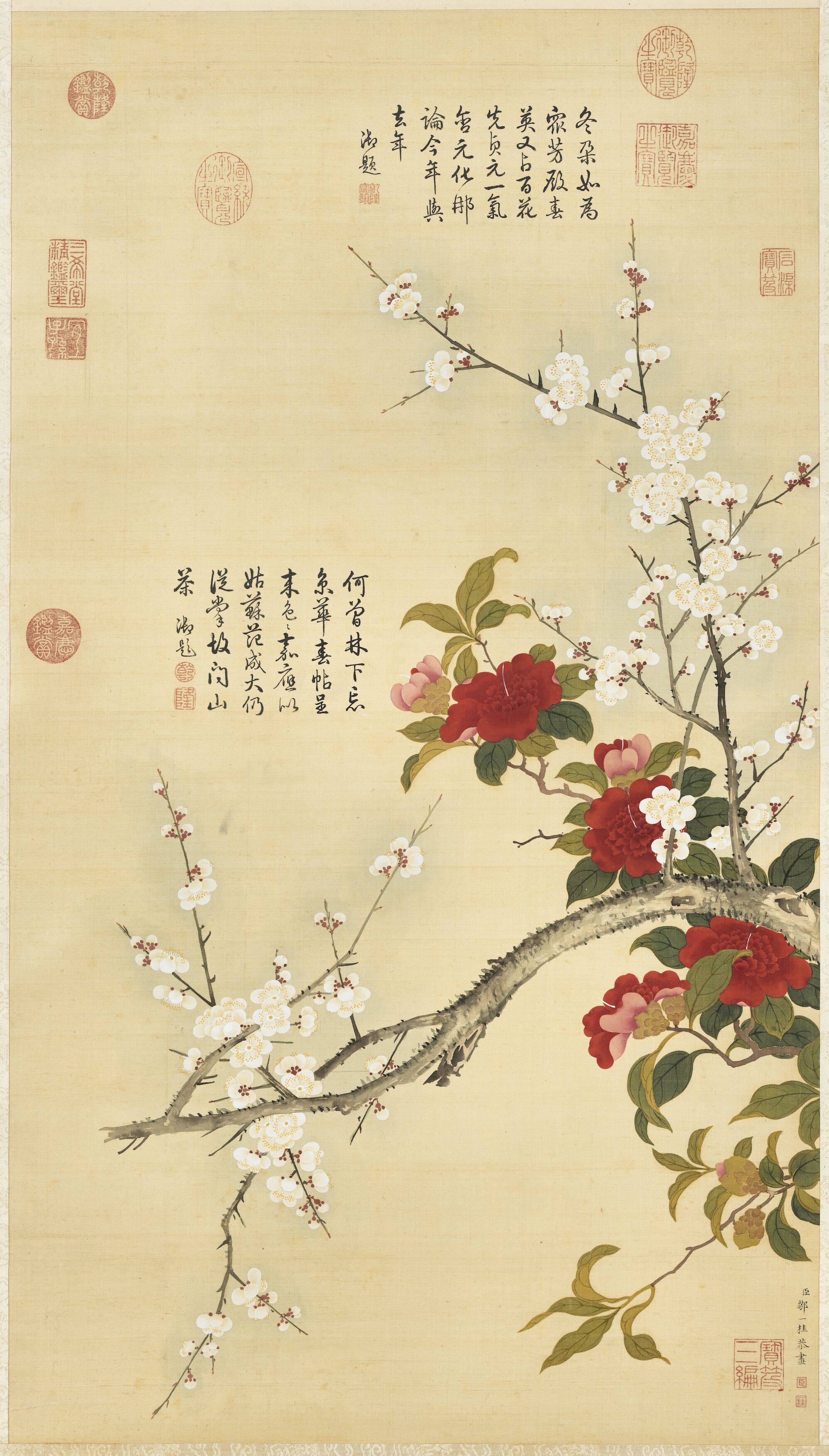邹一桂白梅山茶图轴 图1