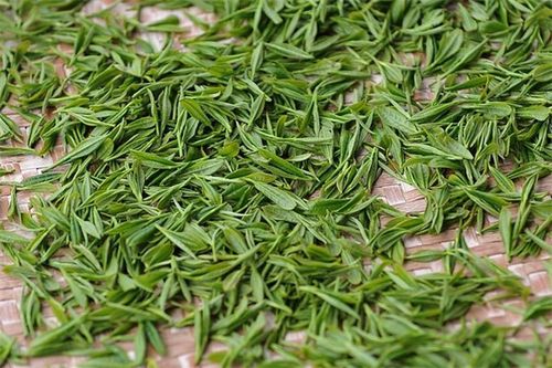 雀舌散装茶叶价格多少钱一斤