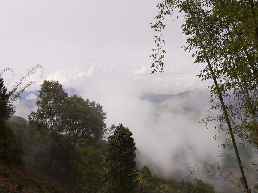 普洱市 御笔古茶山  位置在哪里？