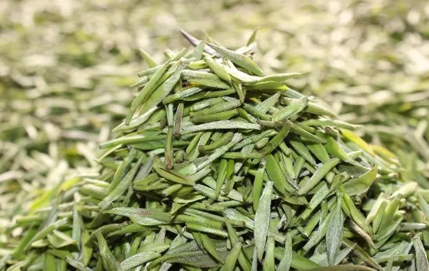 白茶和黄茶的区别，新手分辨不出黄茶和白茶为什么？