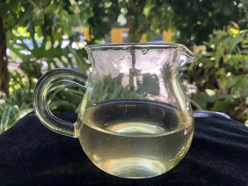《老徐鉴茶》第568期：2022头春永德大雪山古树茶品鉴报告