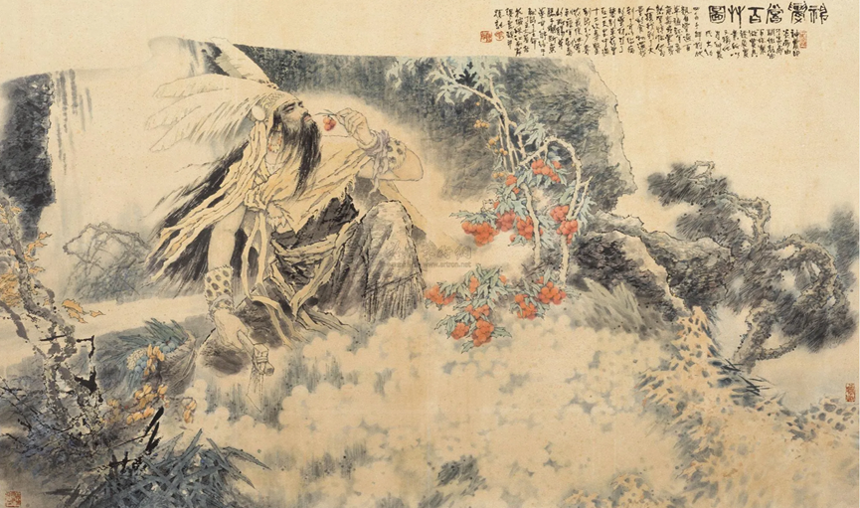 中国茶文化的起源与发展简介