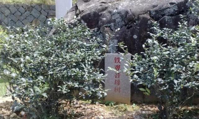 下载.jpg