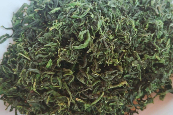 毛峰是什么茶